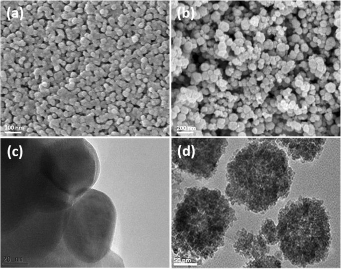 Comparative Toxicity of PEG-Coated Cobalt Ferrite Nanoparticles and Nanospheres