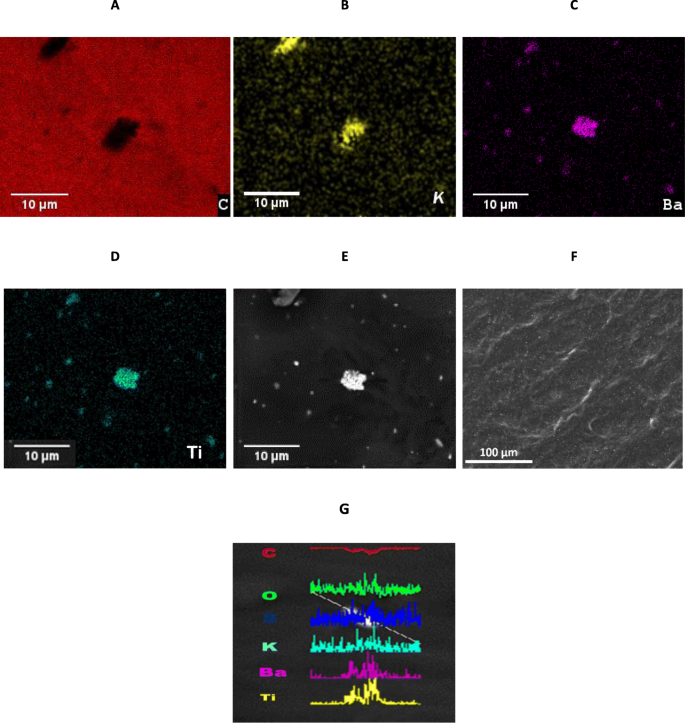 Enhanced RF Elastomechanical Response in PNIPAm Hydrogels with KF-Doped BaTiO3 Nanoparticles via Maxwell-Wagner-Sillars Dynamics