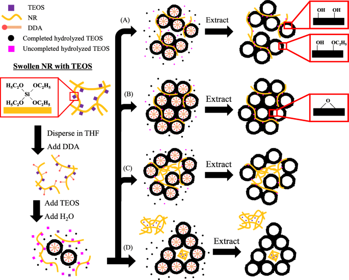 Efficient Fabrication of Mesostructured NR/SiO₂ Nanocomposites with Superior Thermal Stability and Hydrophobicity