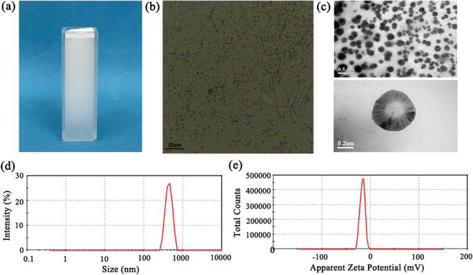 Improving HIFU Cancer Therapy Using Sonodynamic N2O Microbubbles