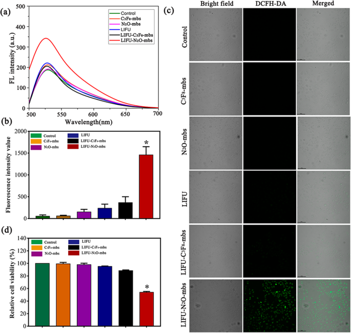 Improving HIFU Cancer Therapy Using Sonodynamic N2O Microbubbles