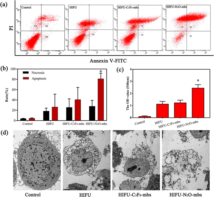Improving HIFU Cancer Therapy Using Sonodynamic N2O Microbubbles