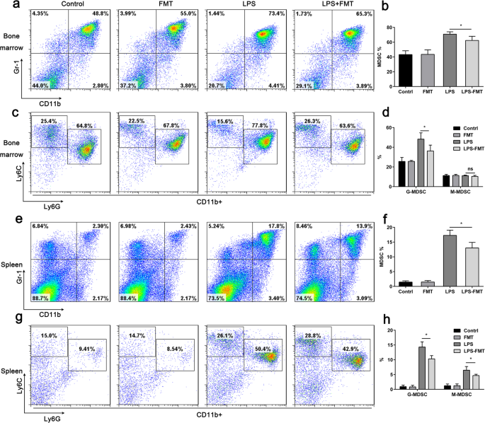 Ferumoxytol Reduces MDSC Activity to Alleviate LPS‑Induced Immunosuppression in Sepsis
