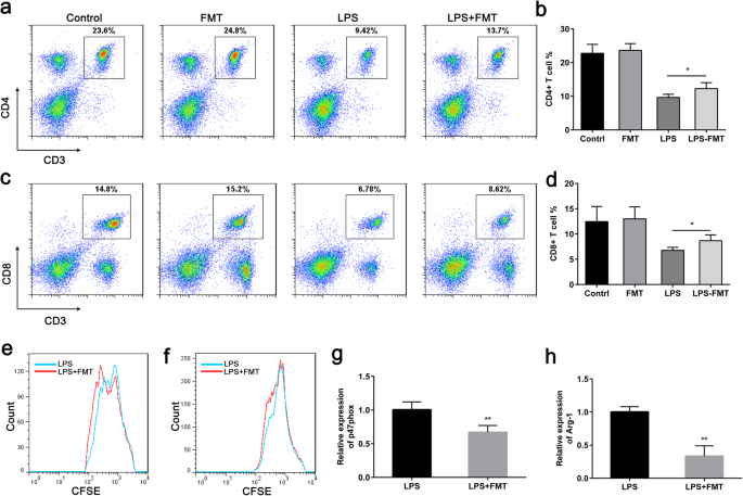 Ferumoxytol Reduces MDSC Activity to Alleviate LPS‑Induced Immunosuppression in Sepsis