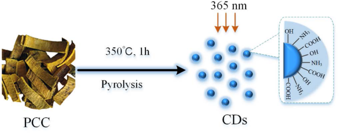 Carbon Dots Derived from Phellodendri Chinensis Cortex Carbonisata Safeguard Kidneys from Deinagkistrodon acutus Venom-Induced Acute Kidney Injury