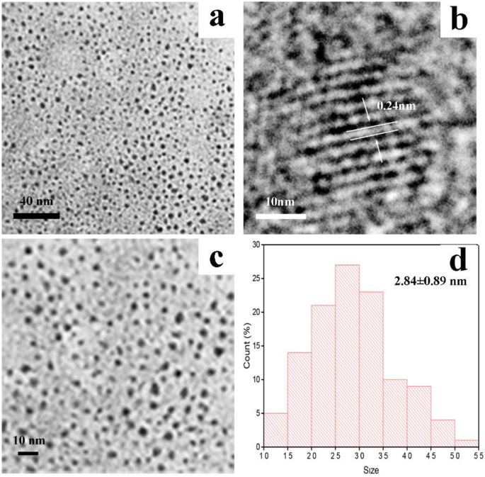 Carbon Dots Derived from Phellodendri Chinensis Cortex Carbonisata Safeguard Kidneys from Deinagkistrodon acutus Venom-Induced Acute Kidney Injury