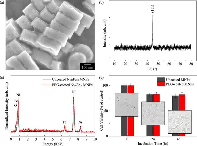 Optimizing Heat Generation in Triple‑Vortex Cylindrical Magnetic Nanoparticles for Cancer Hyperthermia