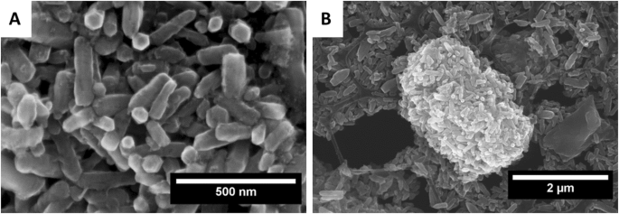 Biodegradable Fe‑Doped Zinc Oxide Nanoparticles: A Promising Iron Delivery System for Biological Applications