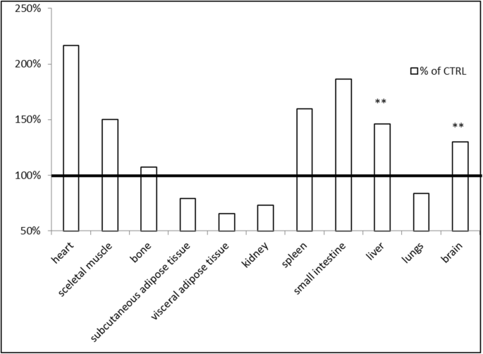 Biodegradable Fe‑Doped Zinc Oxide Nanoparticles: A Promising Iron Delivery System for Biological Applications