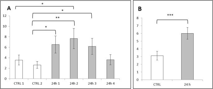 Biodegradable Fe‑Doped Zinc Oxide Nanoparticles: A Promising Iron Delivery System for Biological Applications