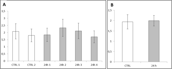 Biodegradable Fe‑Doped Zinc Oxide Nanoparticles: A Promising Iron Delivery System for Biological Applications