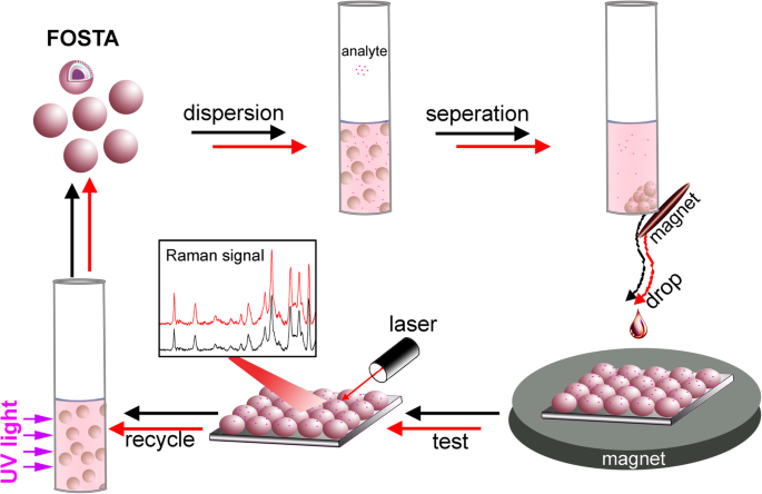 Magnetic Assembly of Monodisperse Noble Metal Microspheres for Reproducible, Recyclable SERS Substrates