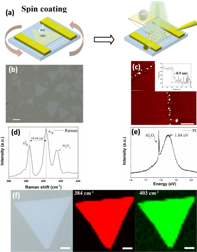 Ultrahigh‑Performance UV‑Visible Photodetector: ZnO‑QD/Monolayer MoS₂ Heterostructure