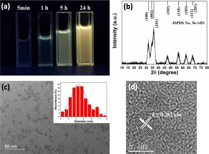 Ultrahigh‑Performance UV‑Visible Photodetector: ZnO‑QD/Monolayer MoS₂ Heterostructure