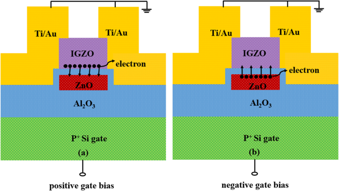 Voltage‑Polarity Dependent Programming of a‑IGZO TFT Memories with ALD ZnO Charge‑Trapping Layer