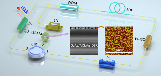 High‑Performance 1550‑nm InAs/GaAs Quantum‑Dot SESAM with Short‑Period Superlattice Cap for Femtosecond Fiber Lasers