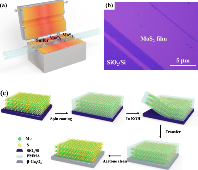 Precise Band Alignment of 2D MoS₂ on 3D β‑Ga₂O₃ Heterojunctions: Impact of Nitridation