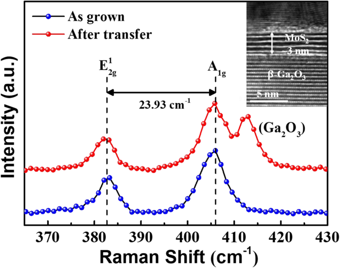 Precise Band Alignment of 2D MoS₂ on 3D β‑Ga₂O₃ Heterojunctions: Impact of Nitridation