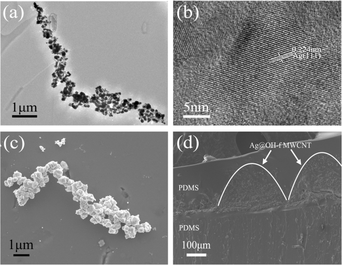 Silver‑Coated CNT Wrinkle Network: Enhancing Sensitivity for Wearable Strain Sensors