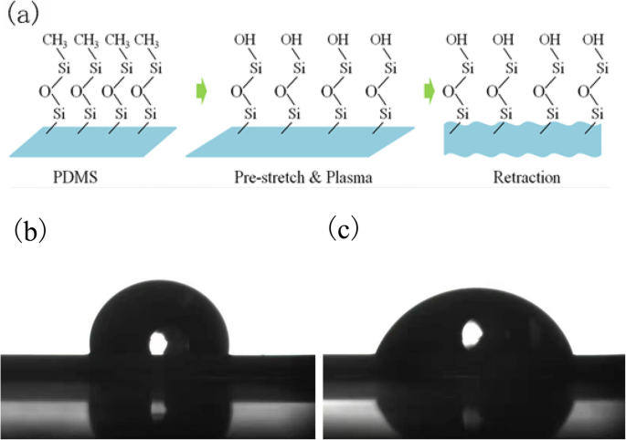 Silver‑Coated CNT Wrinkle Network: Enhancing Sensitivity for Wearable Strain Sensors