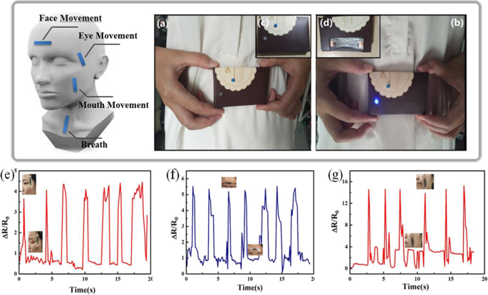 Silver‑Coated CNT Wrinkle Network: Enhancing Sensitivity for Wearable Strain Sensors