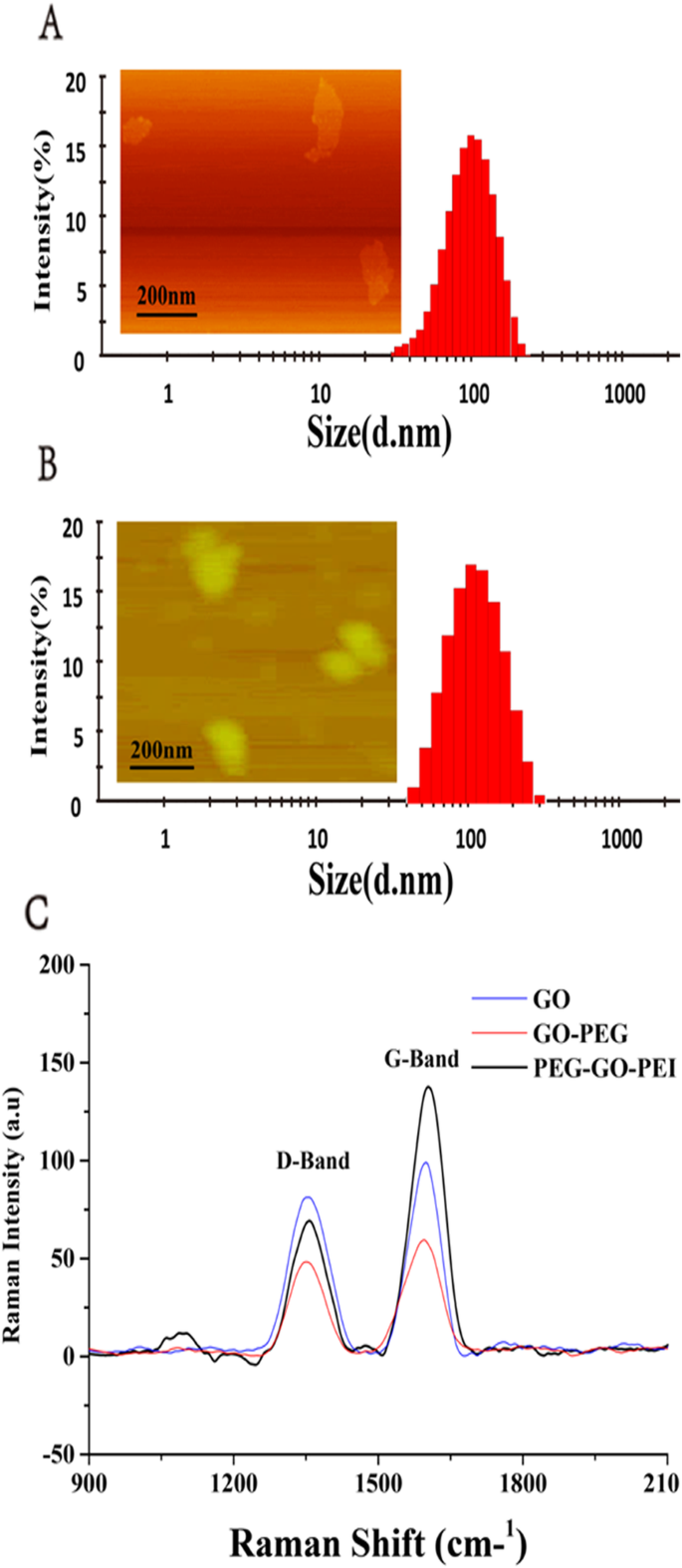 Targeted siRNA Delivery to Ovarian Cancer Using Folate‑Functionalized Graphene Oxide/PEI Nanocomplexes