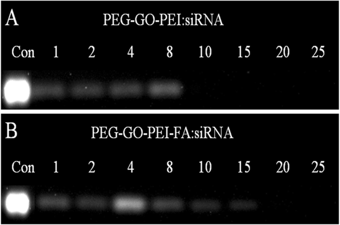 Targeted siRNA Delivery to Ovarian Cancer Using Folate‑Functionalized Graphene Oxide/PEI Nanocomplexes