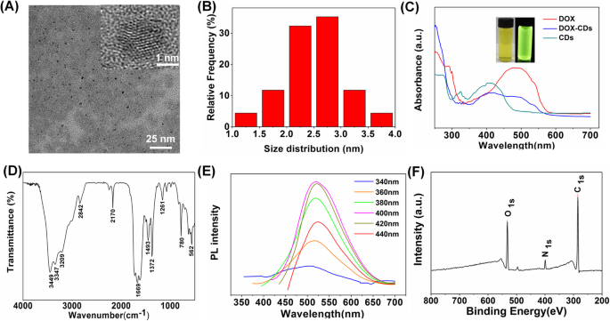 Affordable Green Fluorescent Carbon Dots: Enhanced Bioimaging & Targeted Drug Delivery