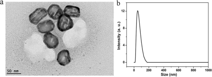 Highly Biocompatible Au Nanocage@PEG Nanoparticles: A Novel CT Contrast Agent for Enhanced In Vivo Imaging