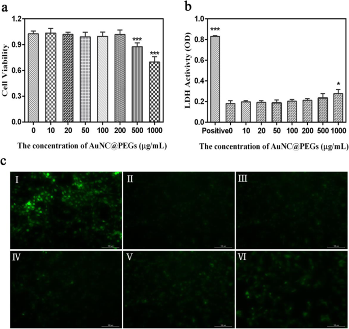 Highly Biocompatible Au Nanocage@PEG Nanoparticles: A Novel CT Contrast Agent for Enhanced In Vivo Imaging