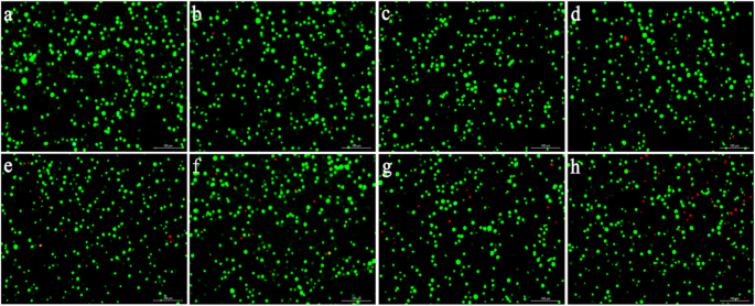 Highly Biocompatible Au Nanocage@PEG Nanoparticles: A Novel CT Contrast Agent for Enhanced In Vivo Imaging