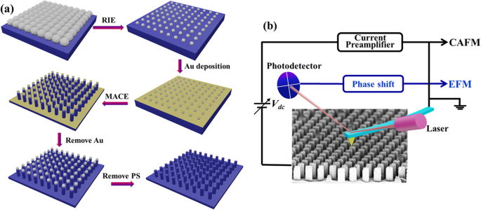 Size-Dependent Conductivity of Individual Silicon Nanowires: Insights from CAFM