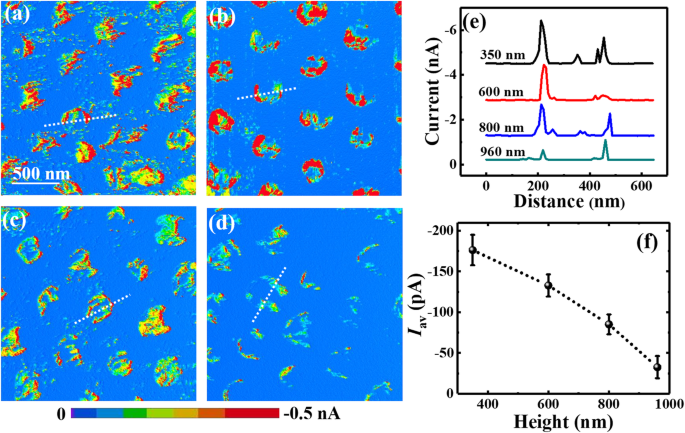 Size-Dependent Conductivity of Individual Silicon Nanowires: Insights from CAFM