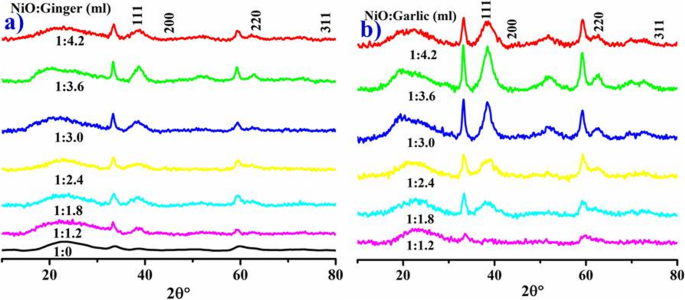 Green‑Synthesized Nickel Oxide Nanoparticles from Ginger and Garlic Show Strong Antibacterial & Catalytic Performance