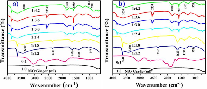 Green‑Synthesized Nickel Oxide Nanoparticles from Ginger and Garlic Show Strong Antibacterial & Catalytic Performance