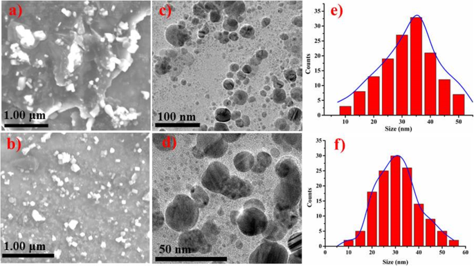 Green‑Synthesized Nickel Oxide Nanoparticles from Ginger and Garlic Show Strong Antibacterial & Catalytic Performance