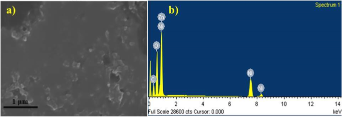 Green‑Synthesized Nickel Oxide Nanoparticles from Ginger and Garlic Show Strong Antibacterial & Catalytic Performance