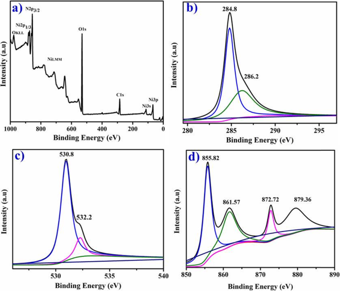Green‑Synthesized Nickel Oxide Nanoparticles from Ginger and Garlic Show Strong Antibacterial & Catalytic Performance