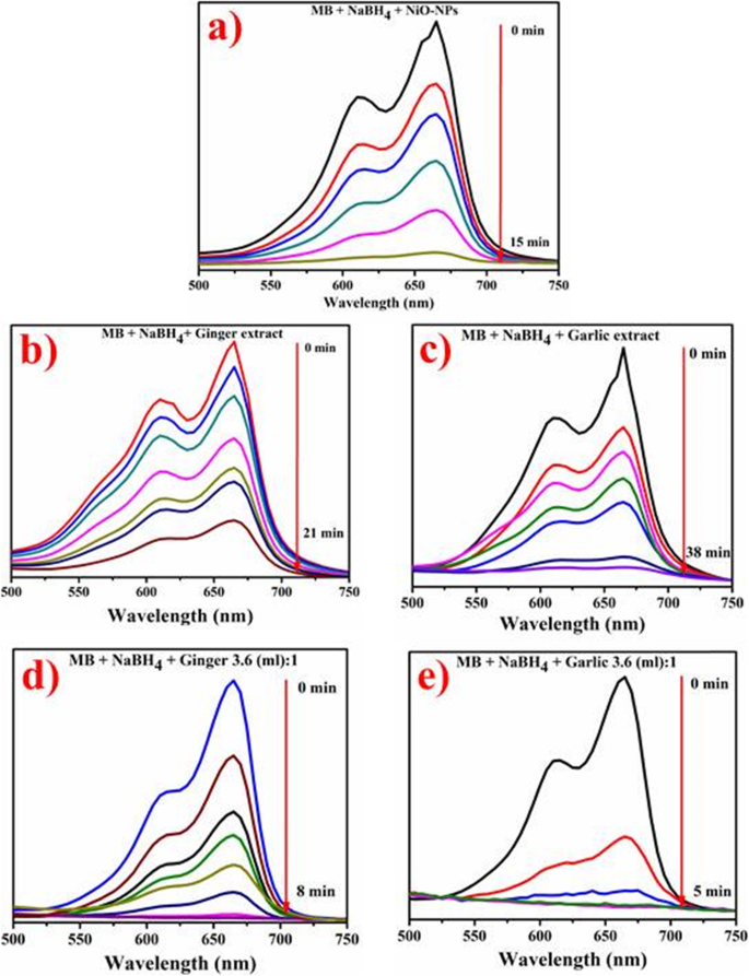 Green‑Synthesized Nickel Oxide Nanoparticles from Ginger and Garlic Show Strong Antibacterial & Catalytic Performance