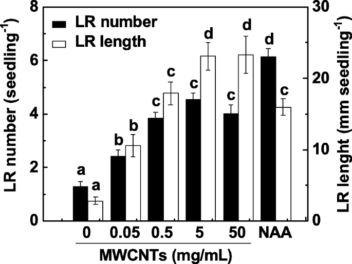 How Multi‑Walled Carbon Nanotubes Promote Tomato Lateral Root Development via Nitric Oxide Signaling