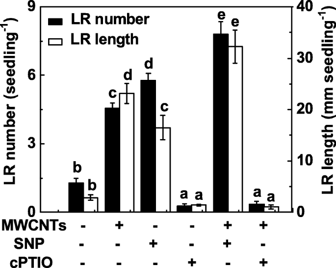 How Multi‑Walled Carbon Nanotubes Promote Tomato Lateral Root Development via Nitric Oxide Signaling