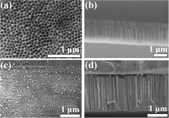 CuO/TiO₂ Nanorod Arrays Fabricated via AAO Template Electrodeposition: A High-Performance Fenton-Like Photocatalyst for Dye Degradation