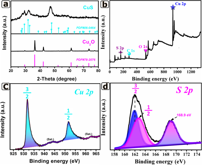 Dual‑Shell CuS Nanocages: Enhanced Electrocatalysis for Ultra‑Sensitive Ascorbic Acid Detection