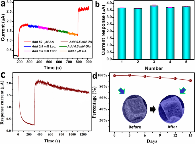 Dual‑Shell CuS Nanocages: Enhanced Electrocatalysis for Ultra‑Sensitive Ascorbic Acid Detection