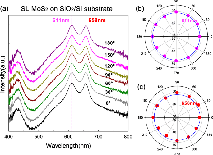 Polarization-Dependent Reflection Spectra of Single-Layer MoS₂ and ReS₂ on SiO₂/Si and Quartz
