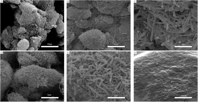 Ultra‑Sensitive Room‑Temperature CNTs/SnO₂/CuO Sensor for Rapid H₂S Detection