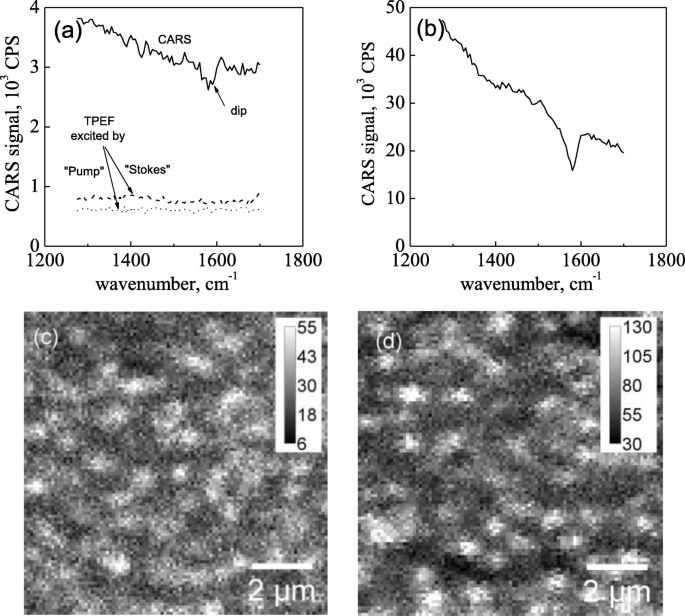 Mapping CNT and Graphene Distribution in Hybrid Structures Using Coherent Anti‑Stokes Raman Microscopy