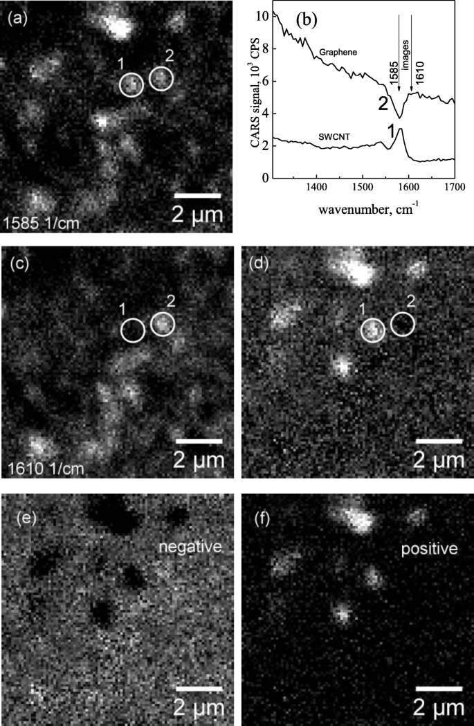 Mapping CNT and Graphene Distribution in Hybrid Structures Using Coherent Anti‑Stokes Raman Microscopy