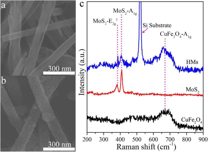 Enhanced Acetone Detection: CuFe₂O₄/MoS₂ Mixed-Dimensional Heterostructures Deliver Superior Gas Sensing Performance