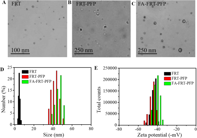 Targeted Ultrasound Imaging & Therapy of Ovarian Tumors Using pH‑Responsive Perfluoropentane Protein Nanoparticles
